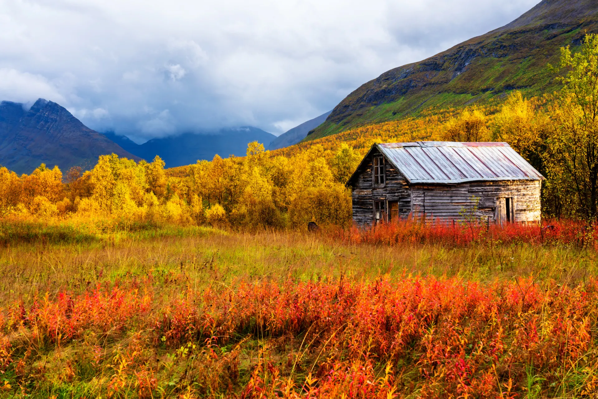 Abandoned Cabin in the Autumn Field