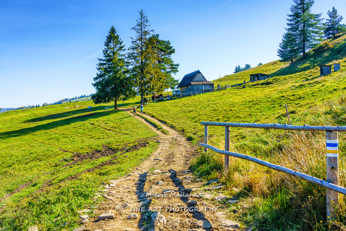 Road leading to wooden shephards hut in mountains, Pieniny, Poland