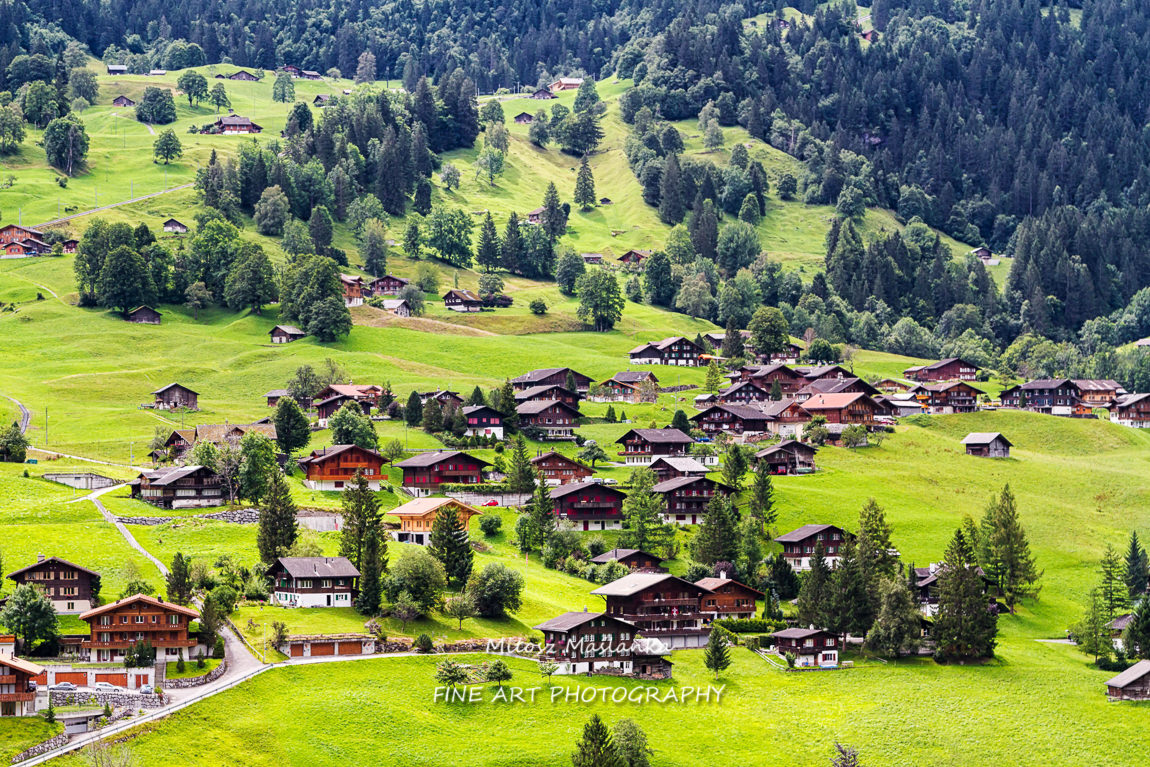 Valley in Grindelwald, Switzerland