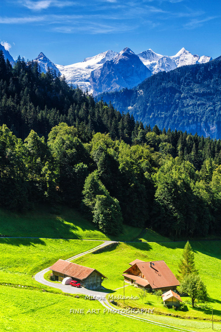 Swiss Alps
