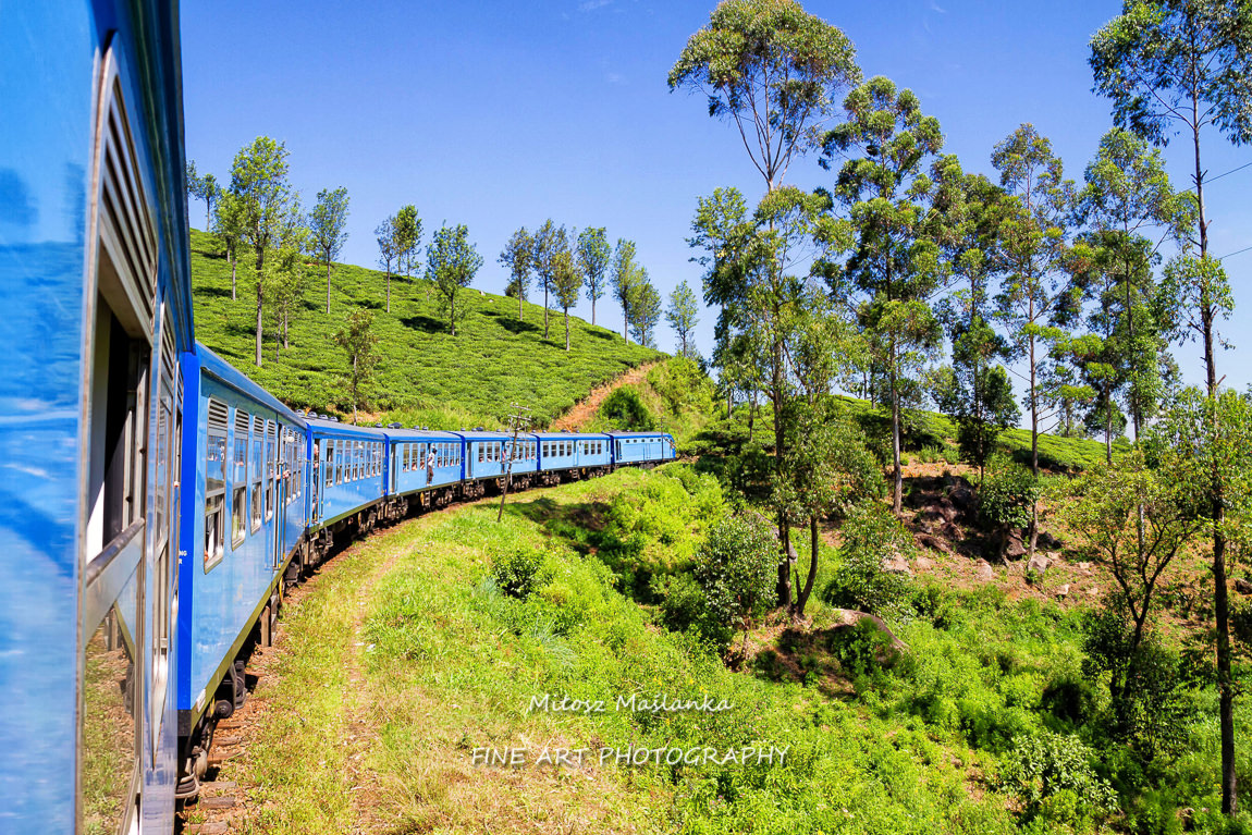 Train journey through tea estates, Sri Lanka