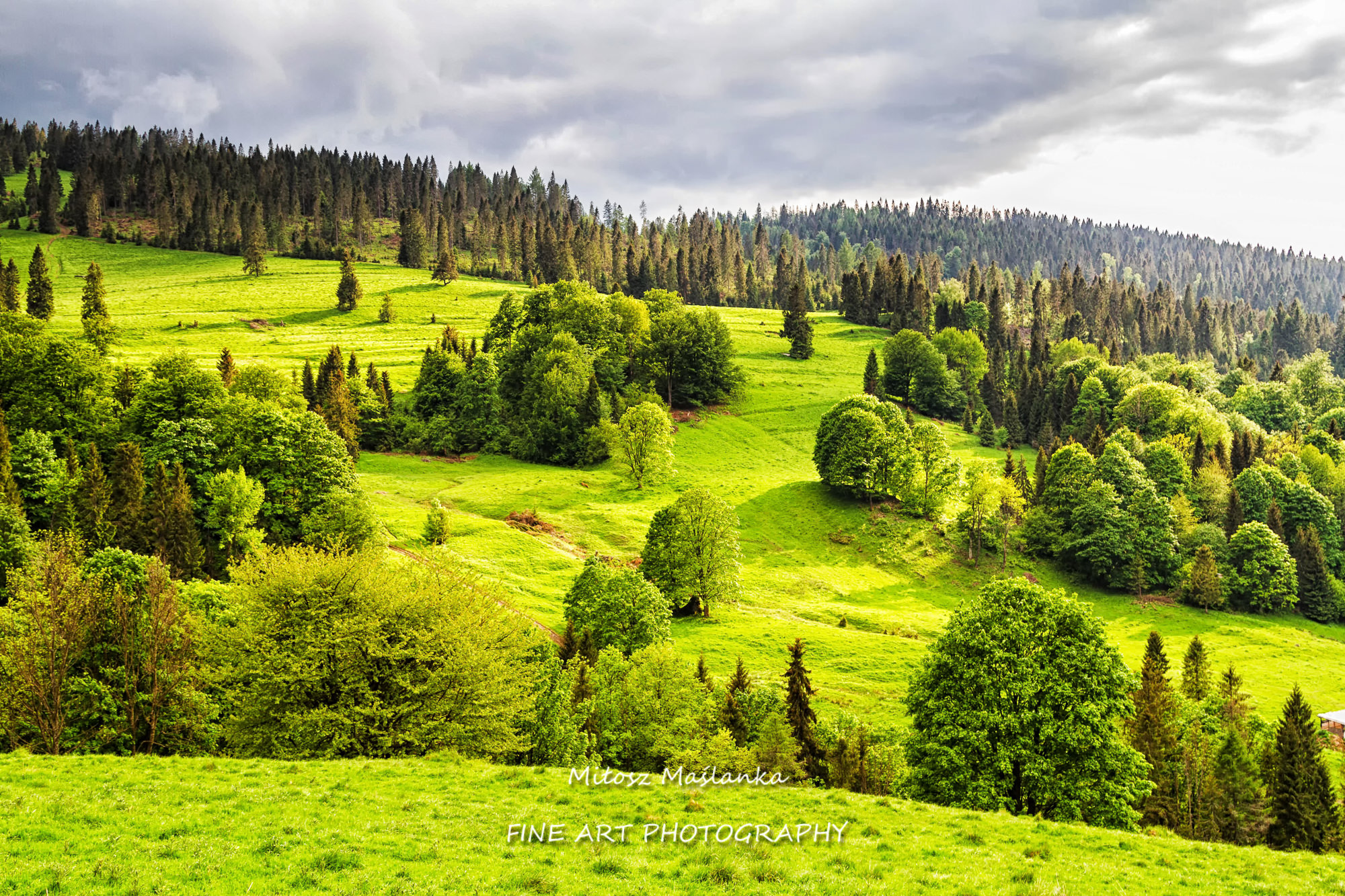 Pieniny Mountains