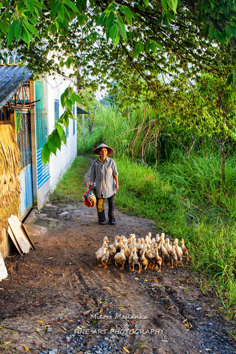 Walking with ducs