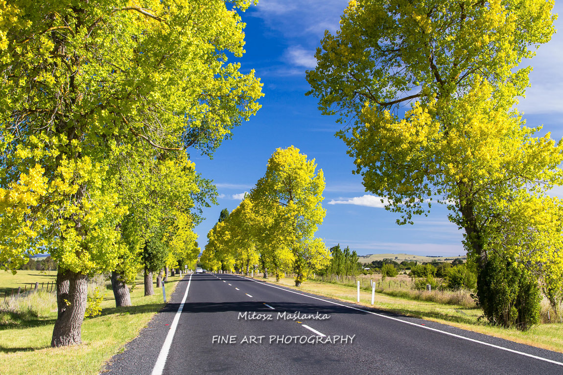Straight road through farmlands in Queensland, Australia.