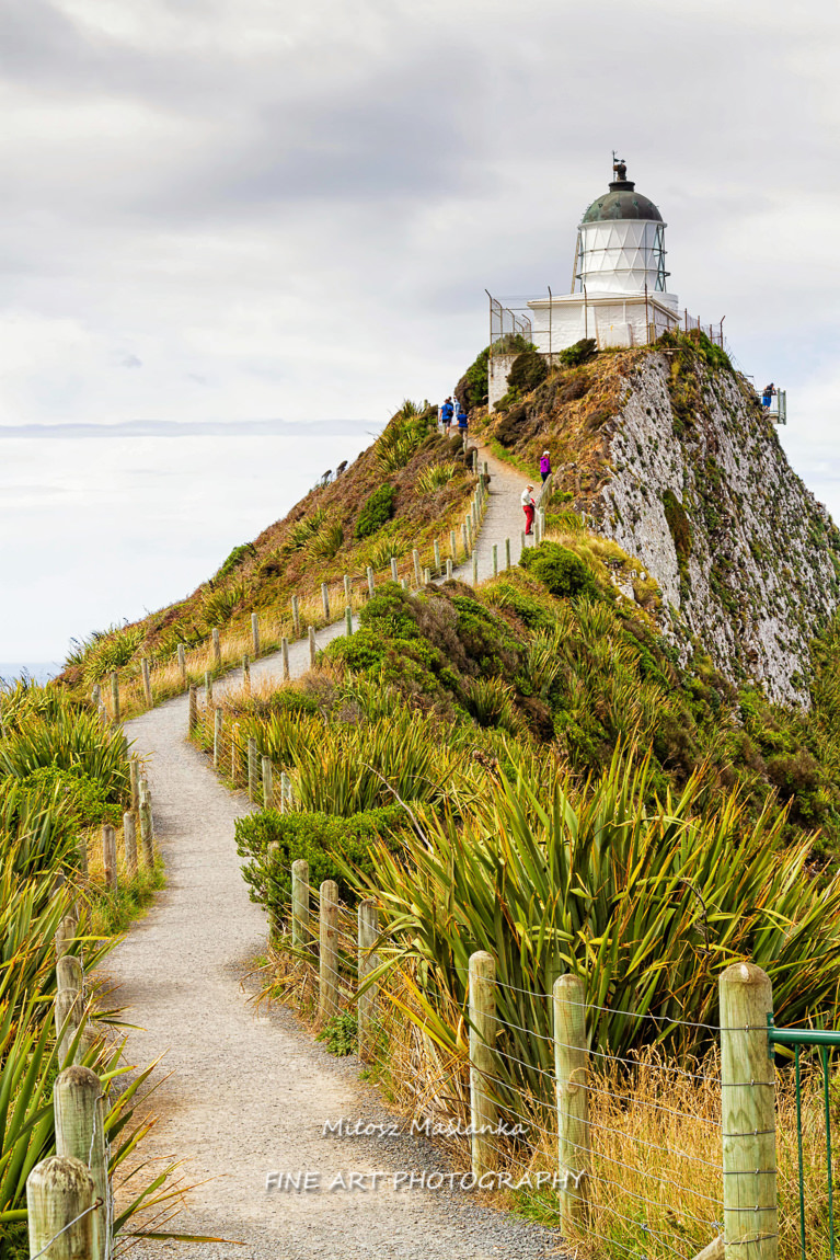 Nugget Point