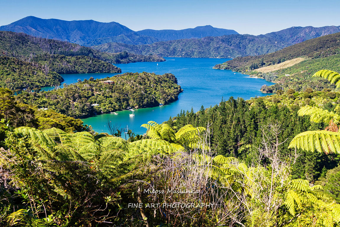 Queen Charlotte Sound