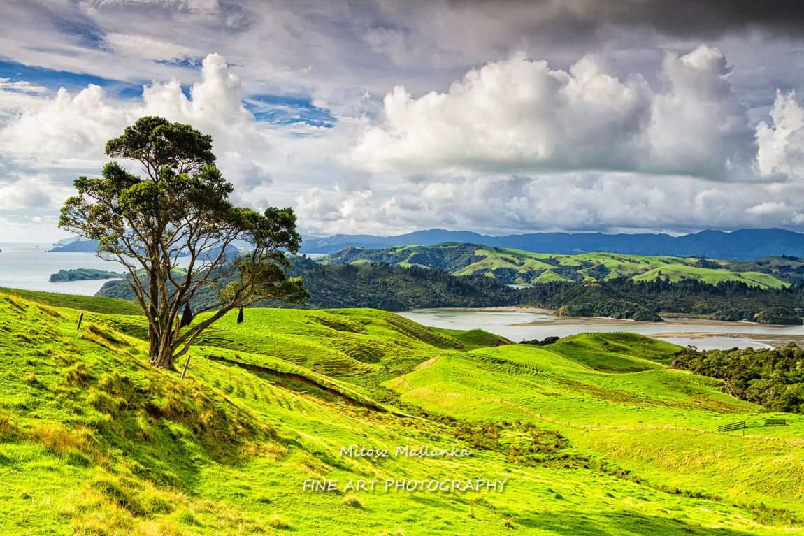 Idyllic landscape of New Zealand North Island