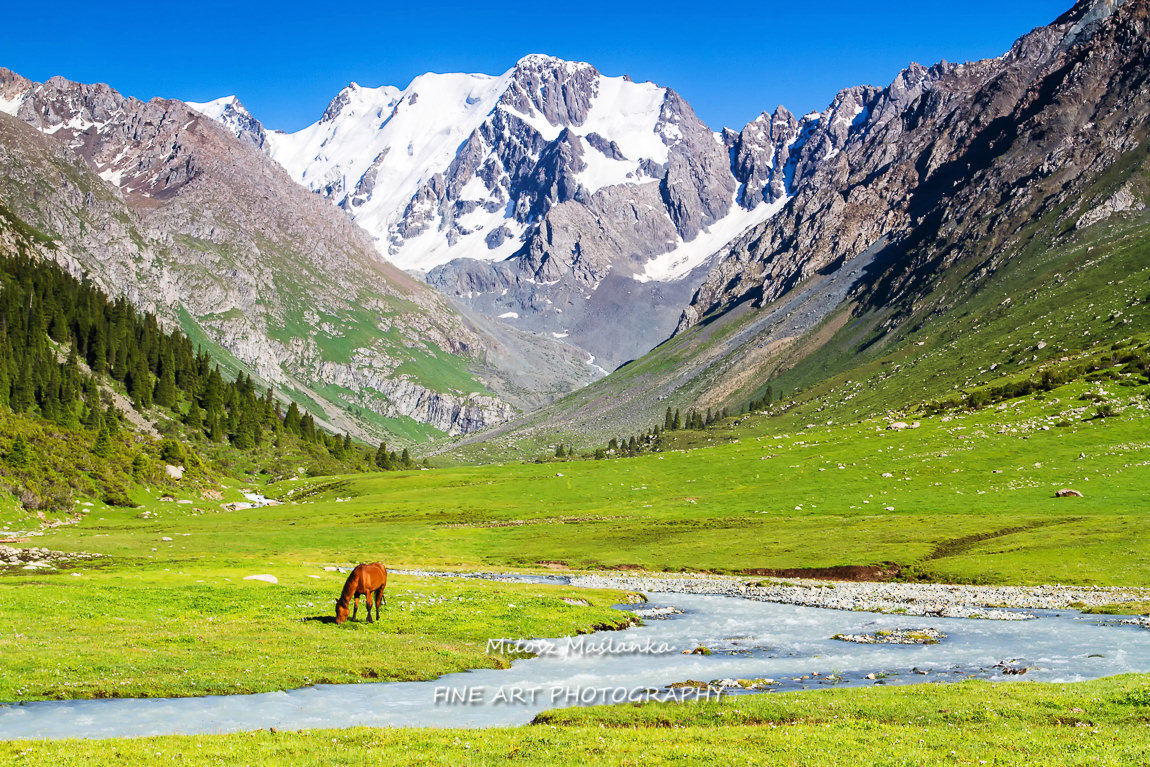 Alatau Plateau in Tian Shan mountains, Karakol, Kyrgyzstan, Central Asia