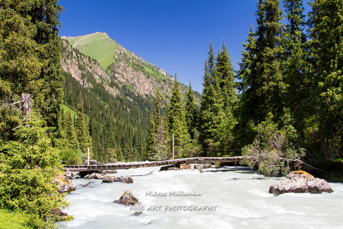 Alatau Plateau in Tian Shan mountains, Karakol, Kyrgyzstan, Central Asia