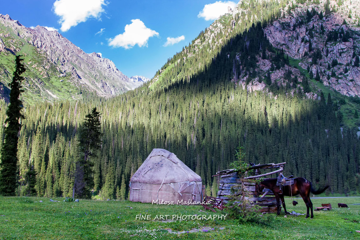 Yurt in Alatau Plateau, Tian Shan mountains near Karakol in Kyrgyzstan. Central Asia