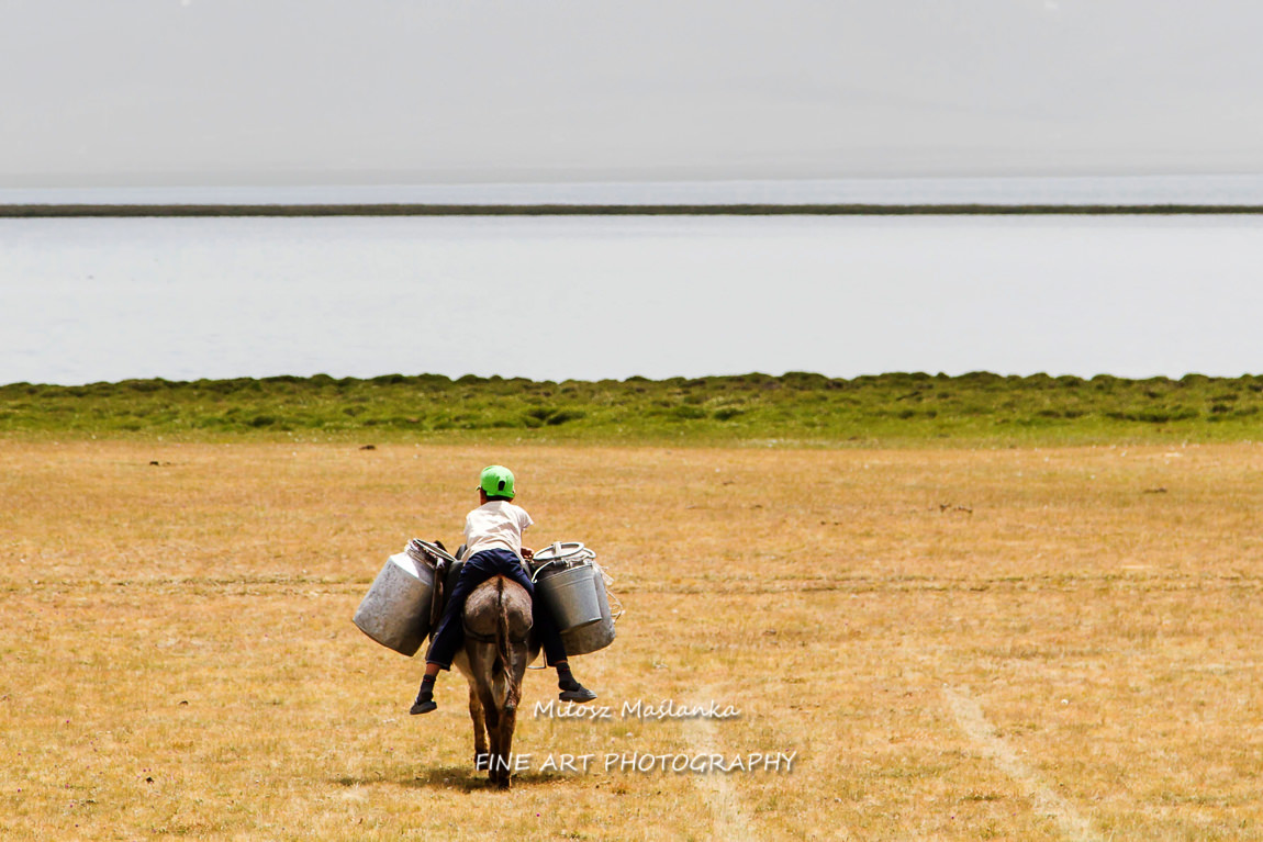 Donkey carrying a boy at Song Kol lake in Tian Shan mountains, Kyrgyzstan, Central Asia