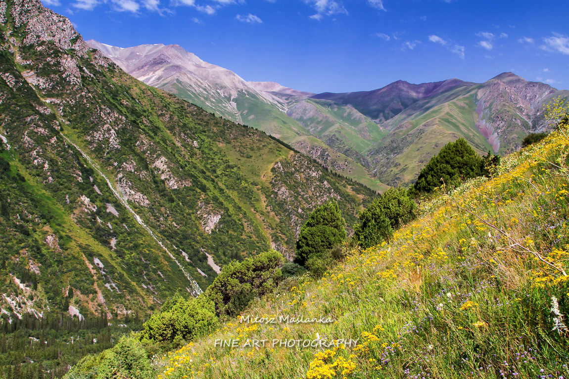 Ala Archa national park, Tian Shan mountains, Kyrgyzstan, Central Asia