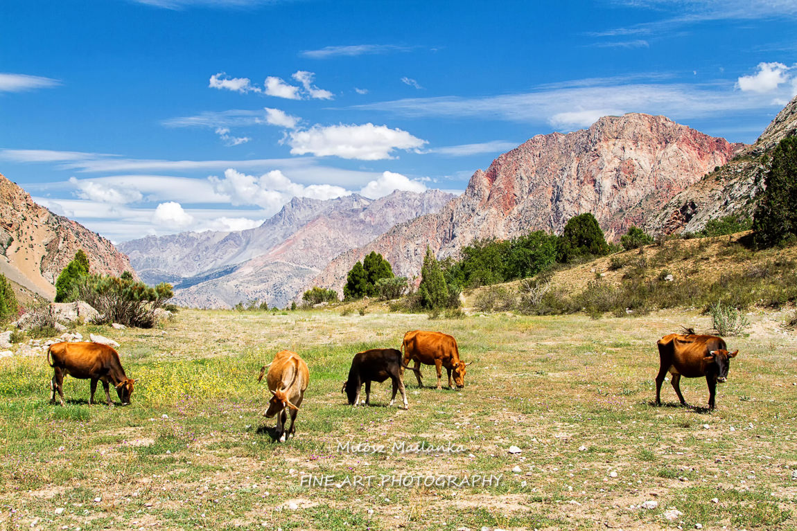 Mountain Landscape of Fan Mountains in summer, Tajikistan, Central Asia