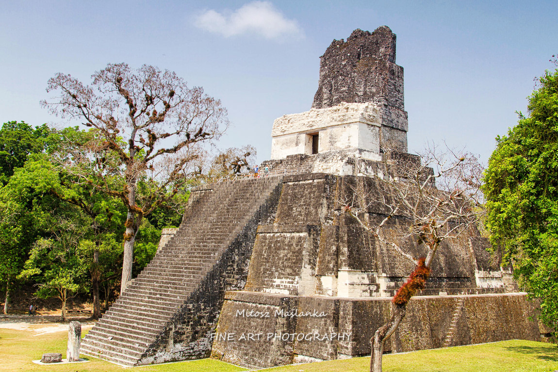 Mayan pyramids in Tikal, Peten region, Guatemala, Central America