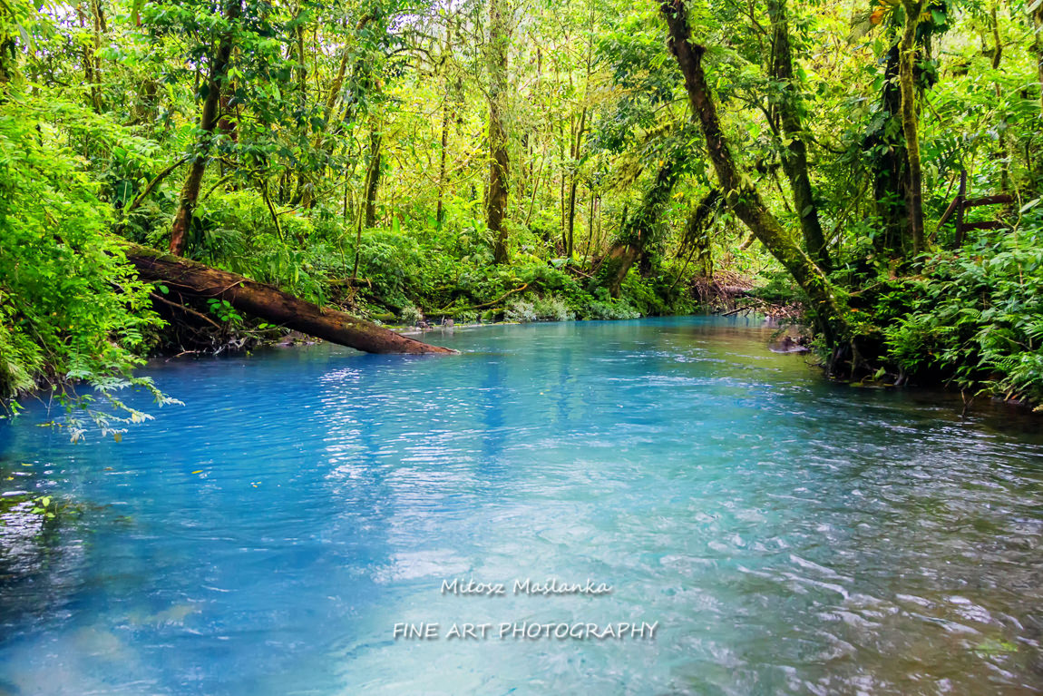 Rio Celeste, Tenorio volcano national park, Costa Rica