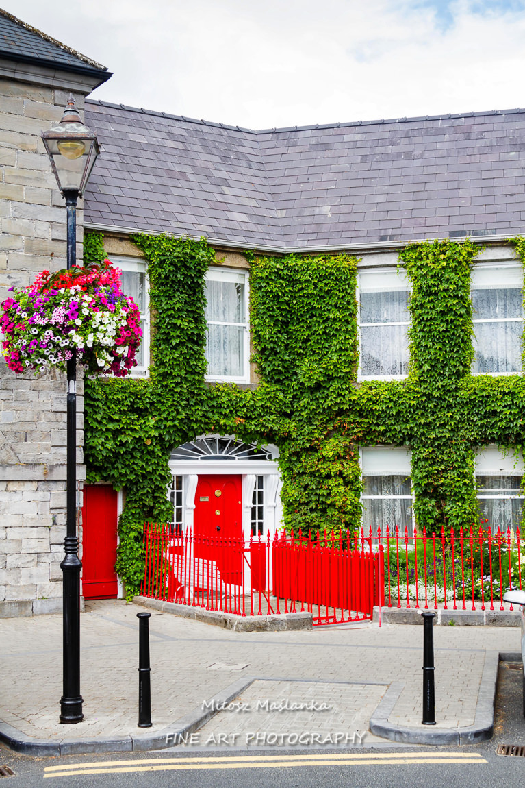 Ivy house in Ireland