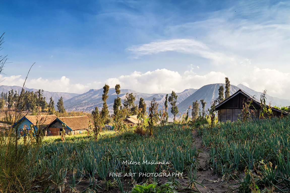 Cemoro Lawang village