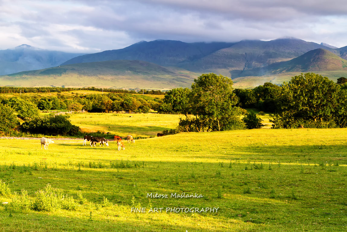 Summer landscape of pastures, hills and meadows in popular and picturesque Doolin, Ireland near Cliffs of Moher