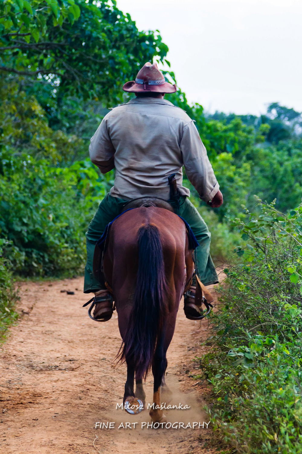 Old man on his horse near Trinidad, Cuba. Horses are still used in daily life for transportation but also for tourist as tourist attraction and for horseback riding.