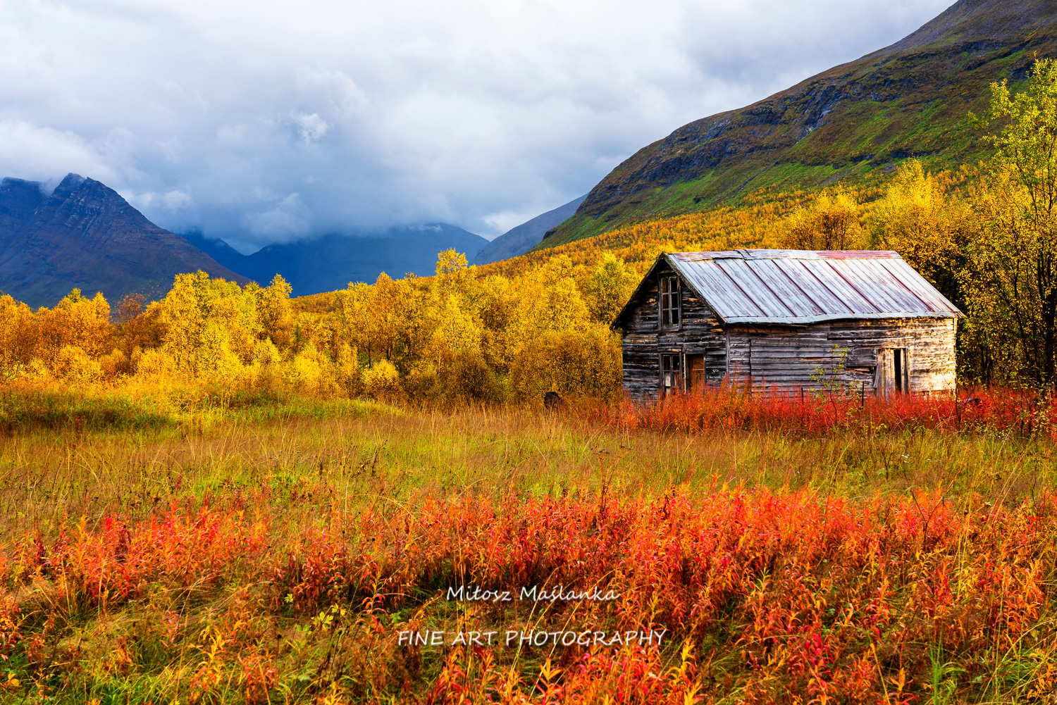 Wooden shed on the middle of autumn. Tamok Valley, Norway