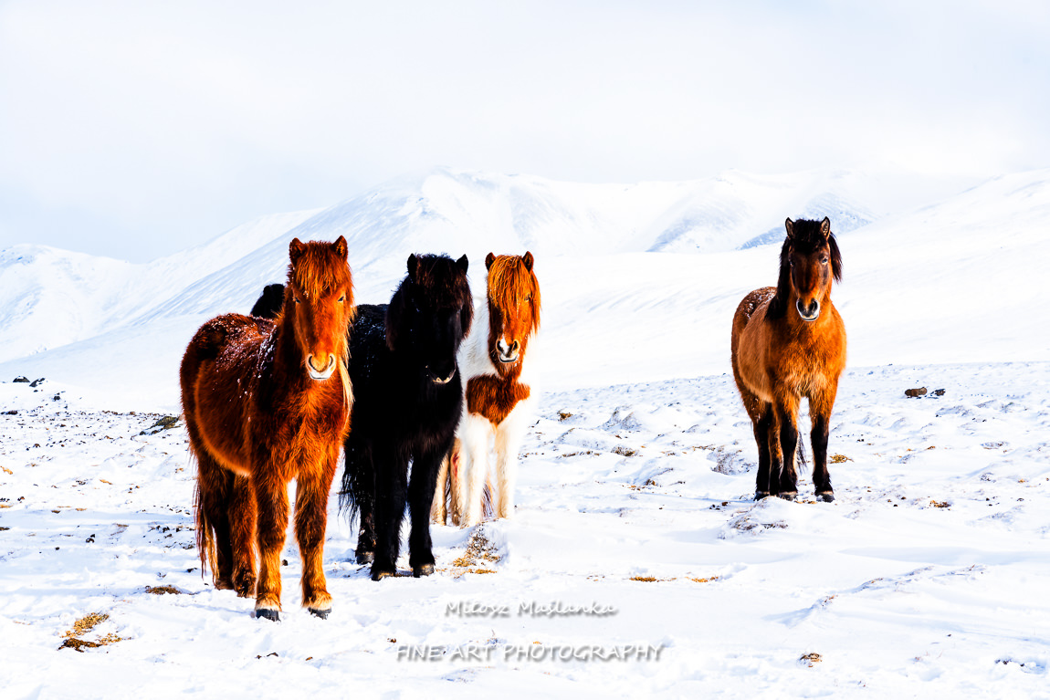 Iceland